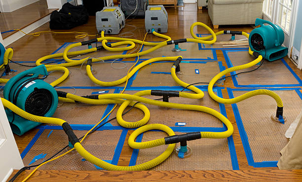 Professional Structural Drying And Dehumidification technician working in Sachse, TX